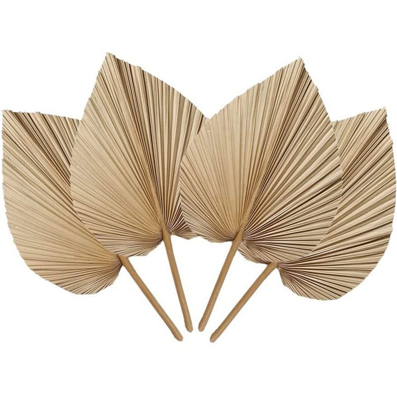 Palm Leaf Dried - Świeże 4 sztuki naturalnych suszonych liści