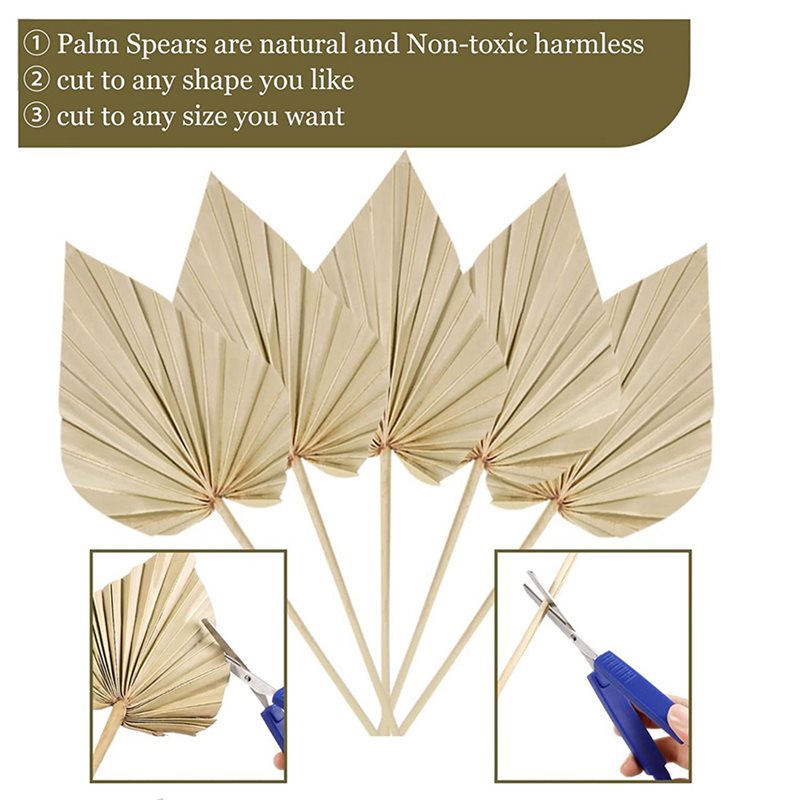 80 sztuk suszonych liści palm  – Palm Leaf Dried recenzja i cena