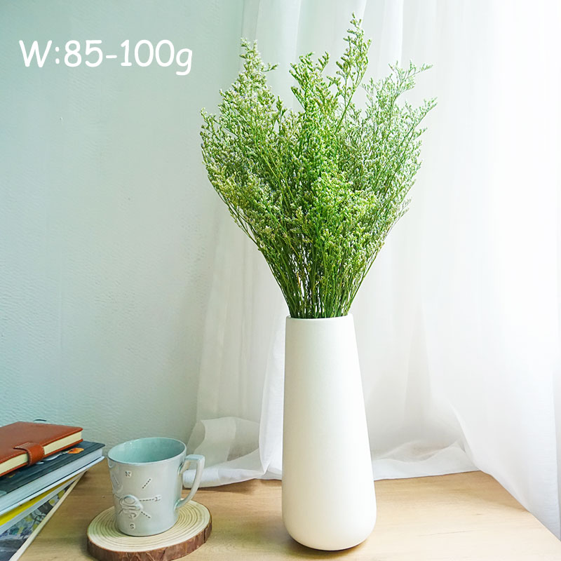 70g/Konserwowana trawa walenty – Eucalyptus Preserved recenzja i cena