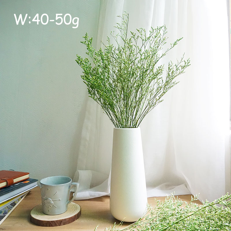 70g/Konserwowana trawa walenty – Eucalyptus Preserved recenzja i cena