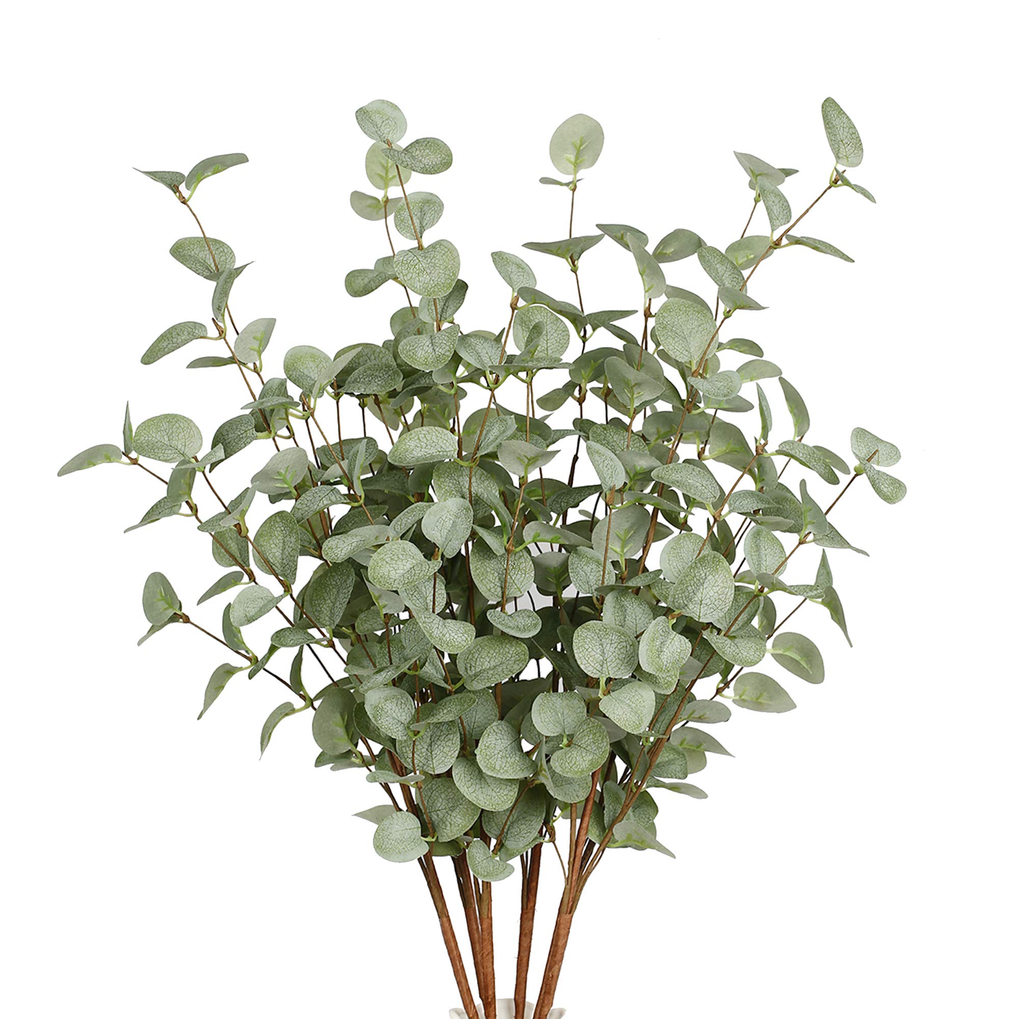 Sztuczne gałązki eukaliptusa,  – Eucalyptus Preserved recenzja i cena