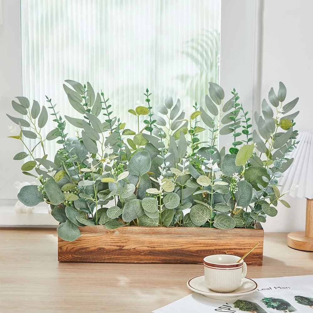20 szt. Gałązek z liśćmi eukal – Eucalyptus Preserved recenzja i cena
