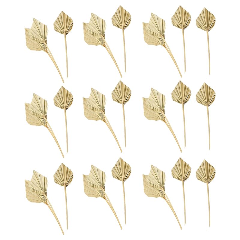 AS60-30 szt. Suszone palmy w s – Palm Leaf Dried recenzja i cena