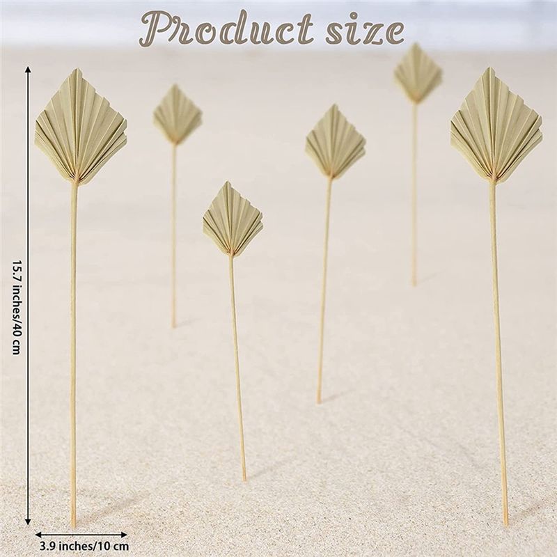 AS60-30 szt. Suszone palmy w s – Palm Leaf Dried recenzja i cena