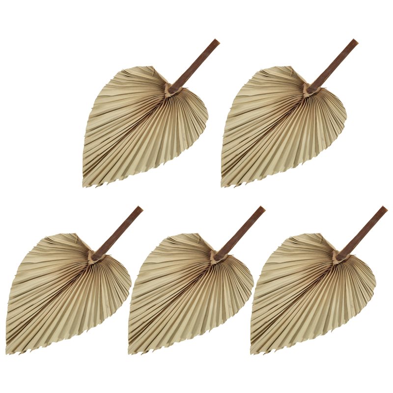 SEWS-5 szt. Naturalne suszone  – Palm Leaf Dried recenzja i cena