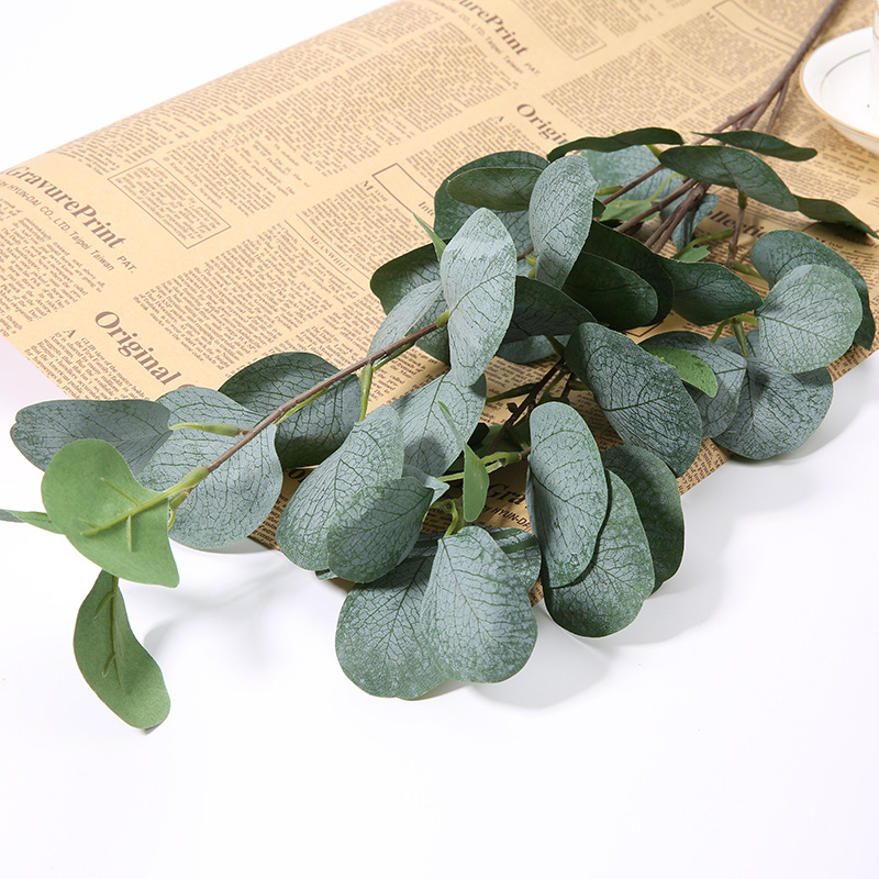 1 szt. Sztuczna gałązka eukali – Eucalyptus Preserved recenzja i cena