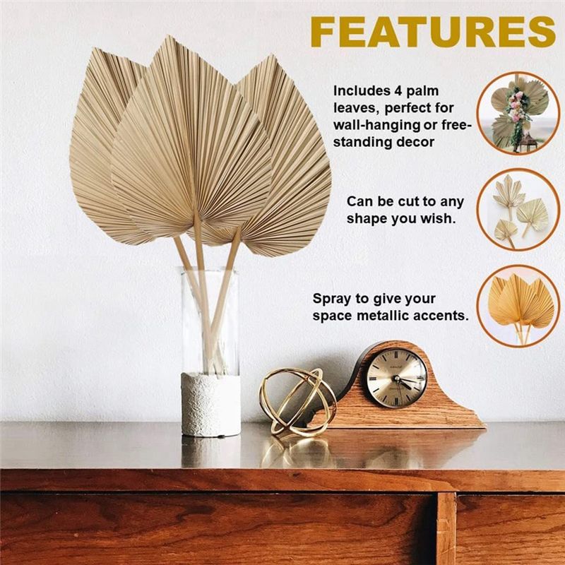 Świeże 4 sztuki naturalnych su – Palm Leaf Dried recenzja i cena